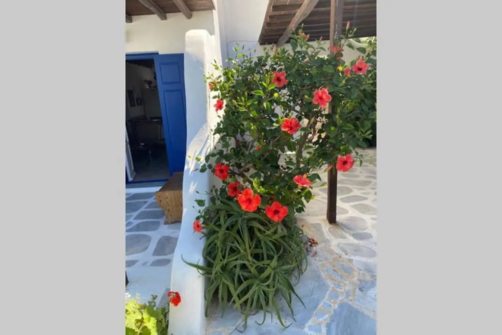 Pigeon House Ornos Beach Mykonos Town 0*,  Griechenland